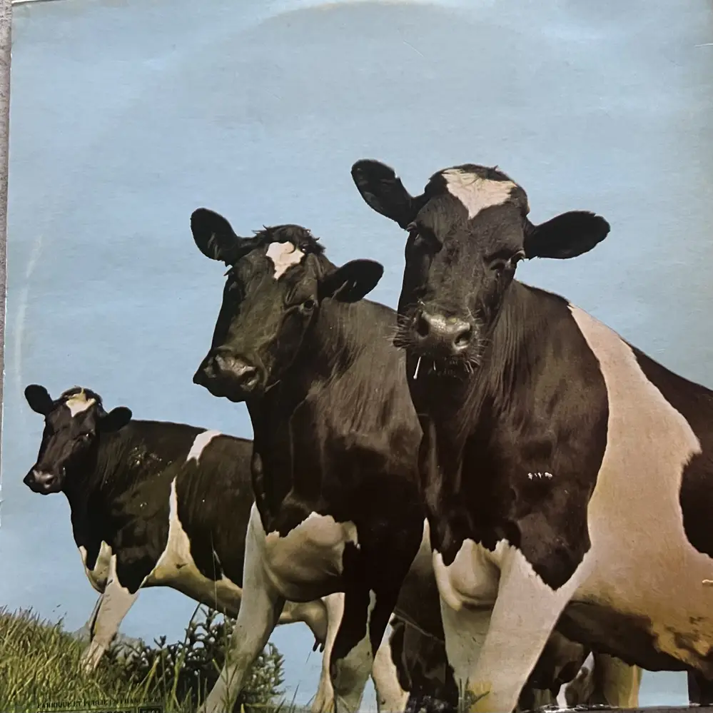 Produit 1 - vue principale